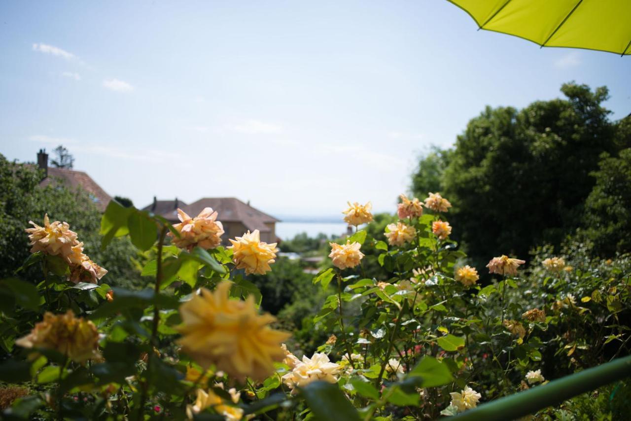 Hotel De La Beroche Saint-Aubin-Sauges Экстерьер фото